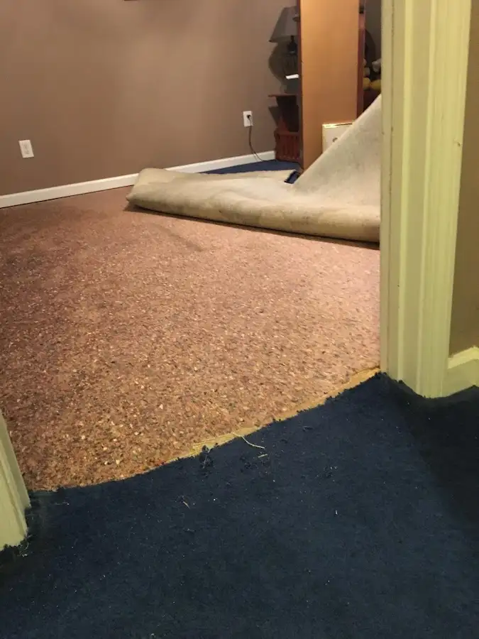 Carpet pad removal revealing water damage during Water Mitigation Services in Newcastle